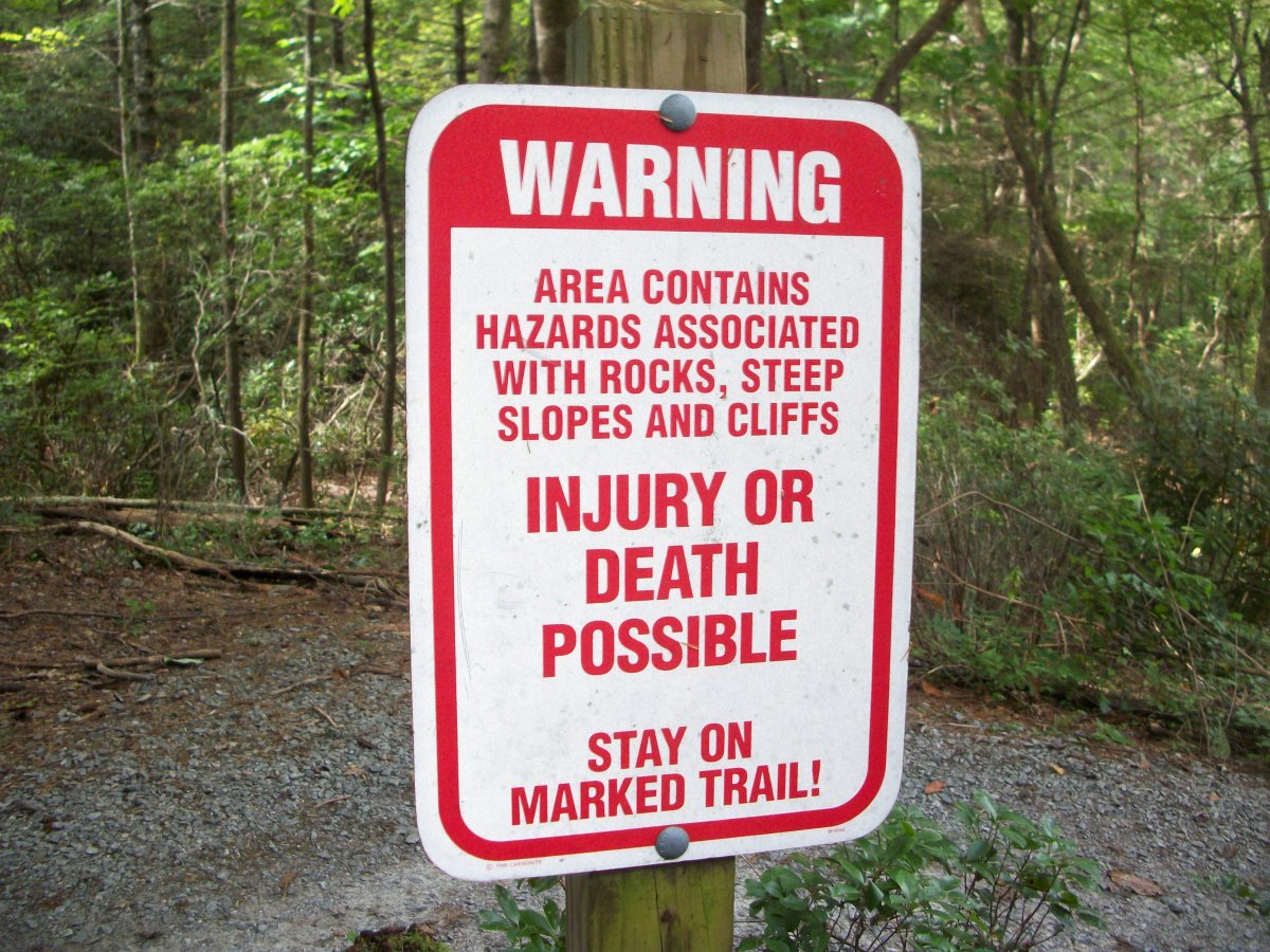 Dupont State Forest HubPages