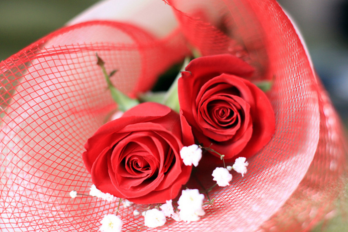 What do Flower Colors Mean in Relationships? PairedLife