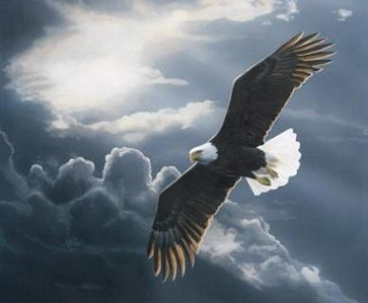 On the Wings of Eagles (an Inspirational Poem) HubPages