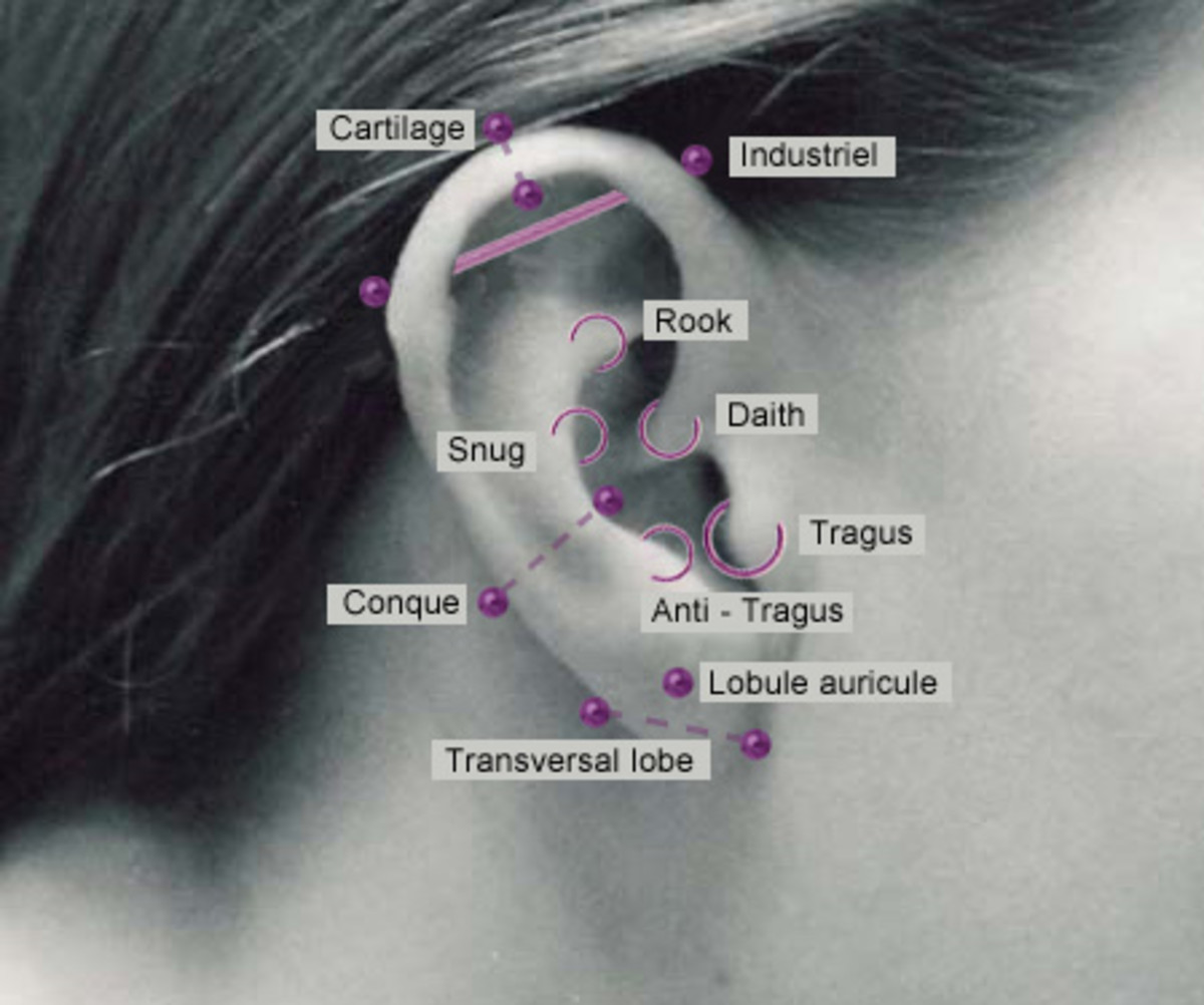 Tragus Ear Piercing Everything You Need to Know HubPages