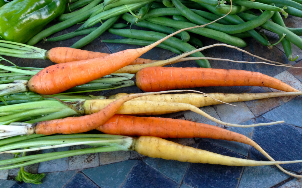 Grow 2 crops of carrots this season