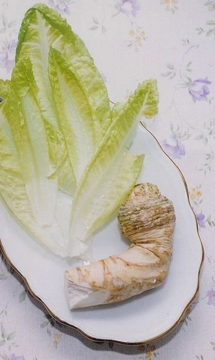THE PASSOVER SEDER and Seder Plate