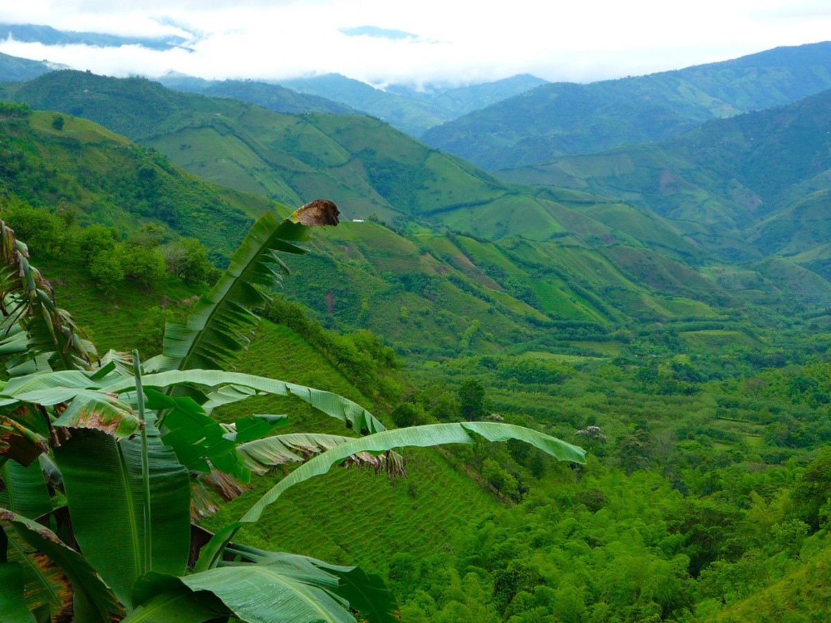 Physical Features and Natural Resources of Colombia Owlcation