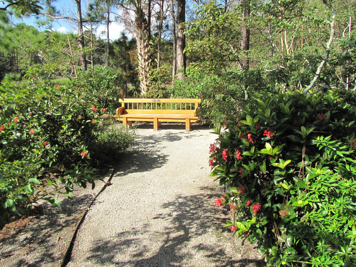 Visiting the Morikami Japanese Gardens and Museum, Delray Beach, Florida HubPages