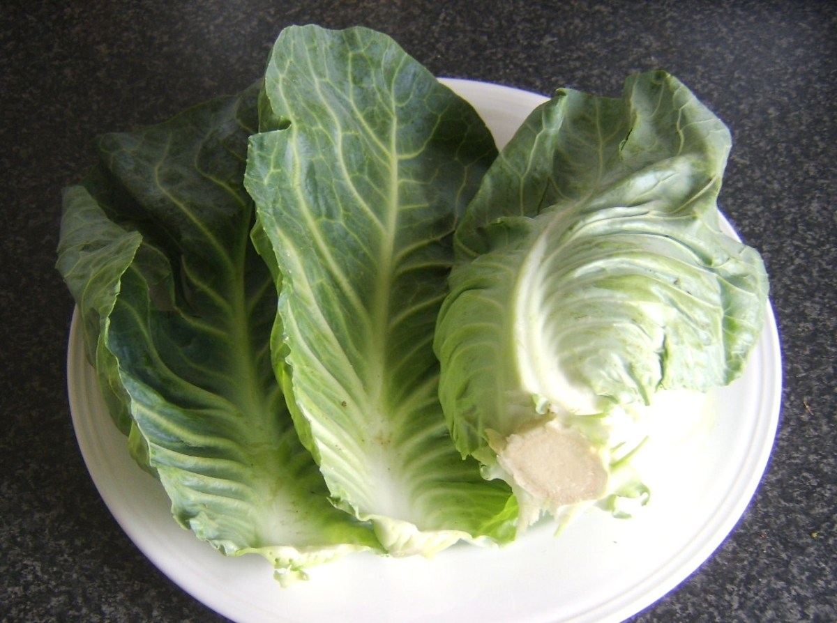 Sauteed Sweetheart or Pointed Cabbage Recipes Delishably