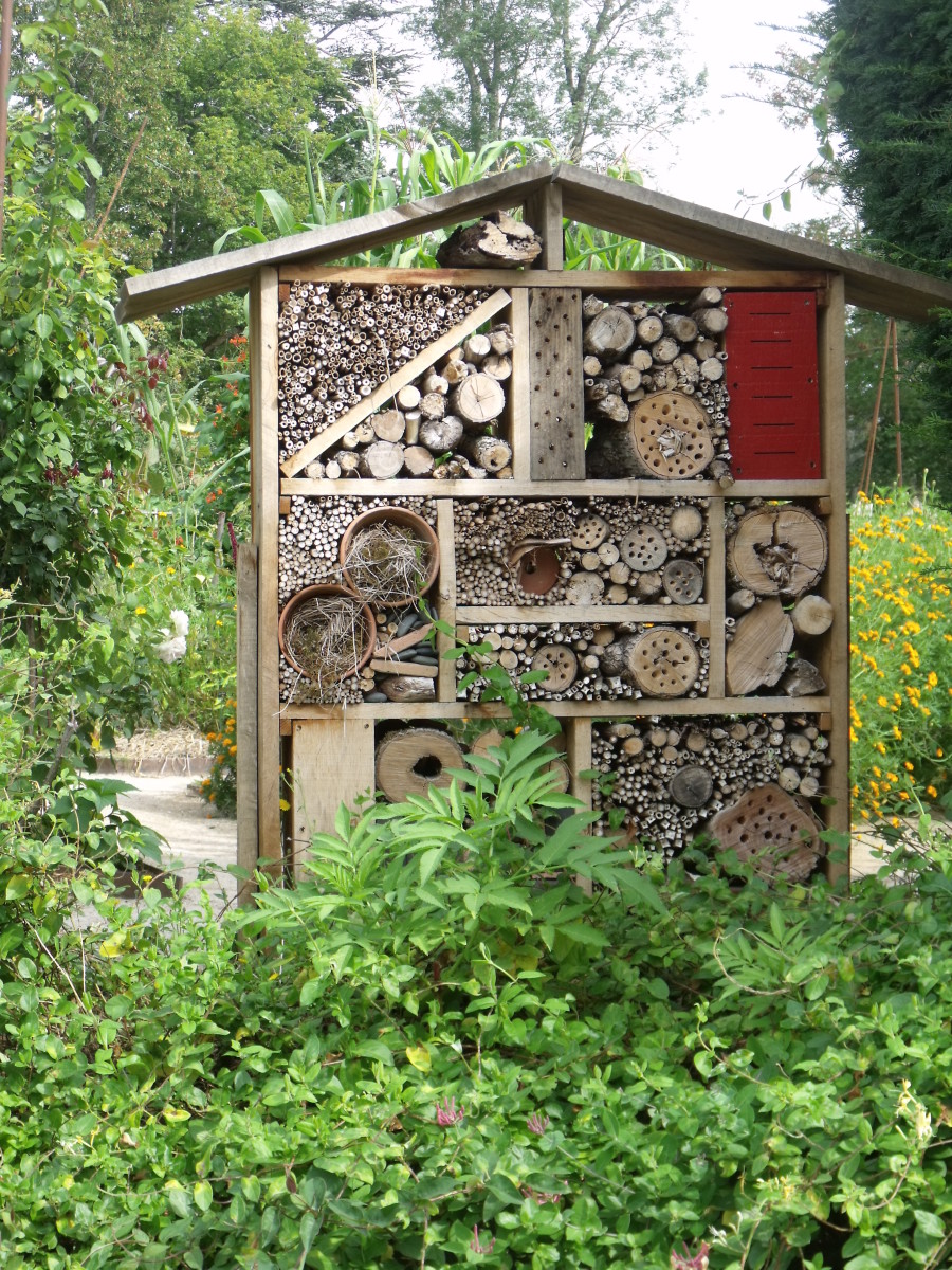 Make an Insect Hotel to Attract Bugs to Your Yard
