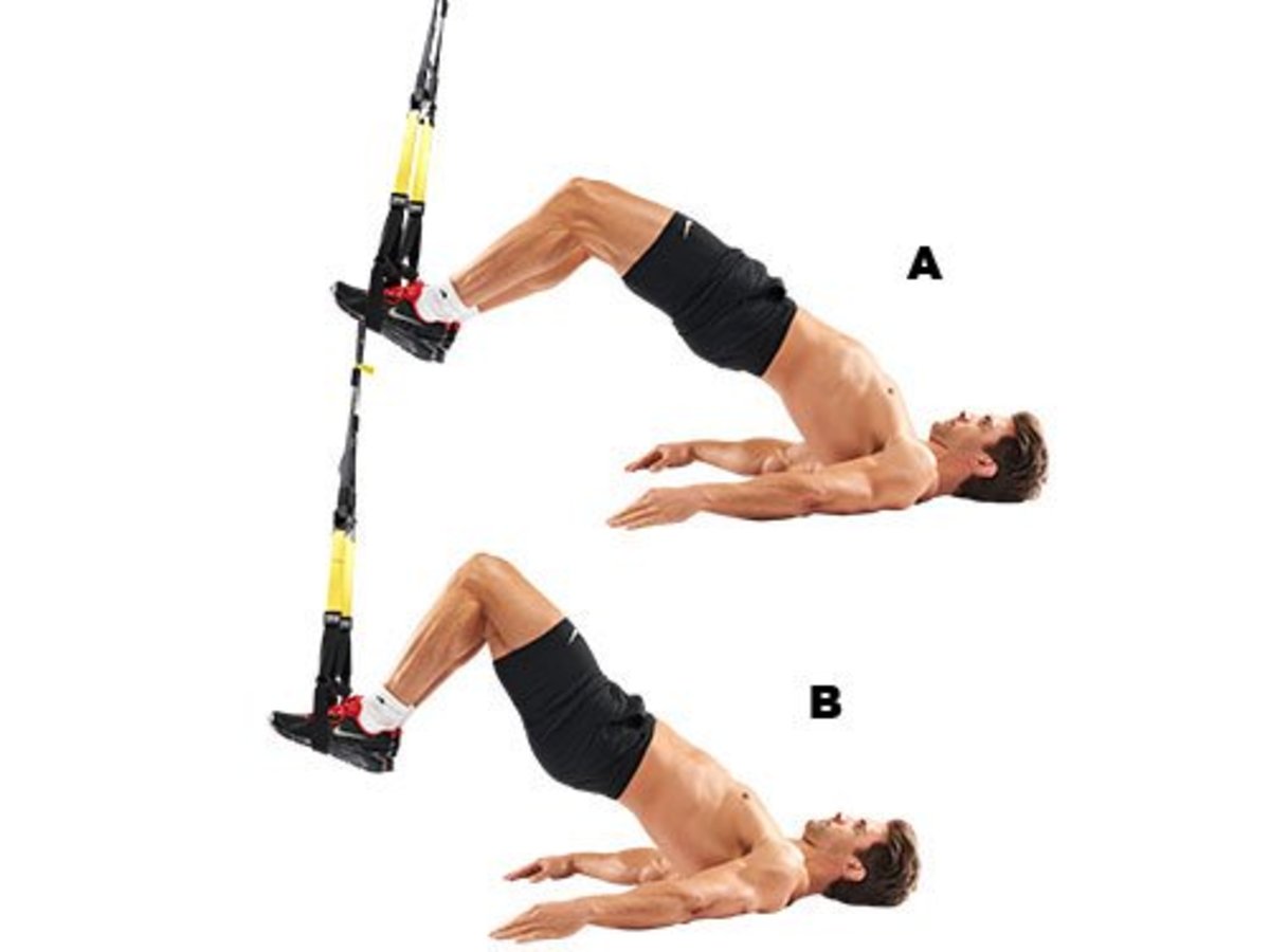 Suspension Training TRX Facts and Posters CalorieBee