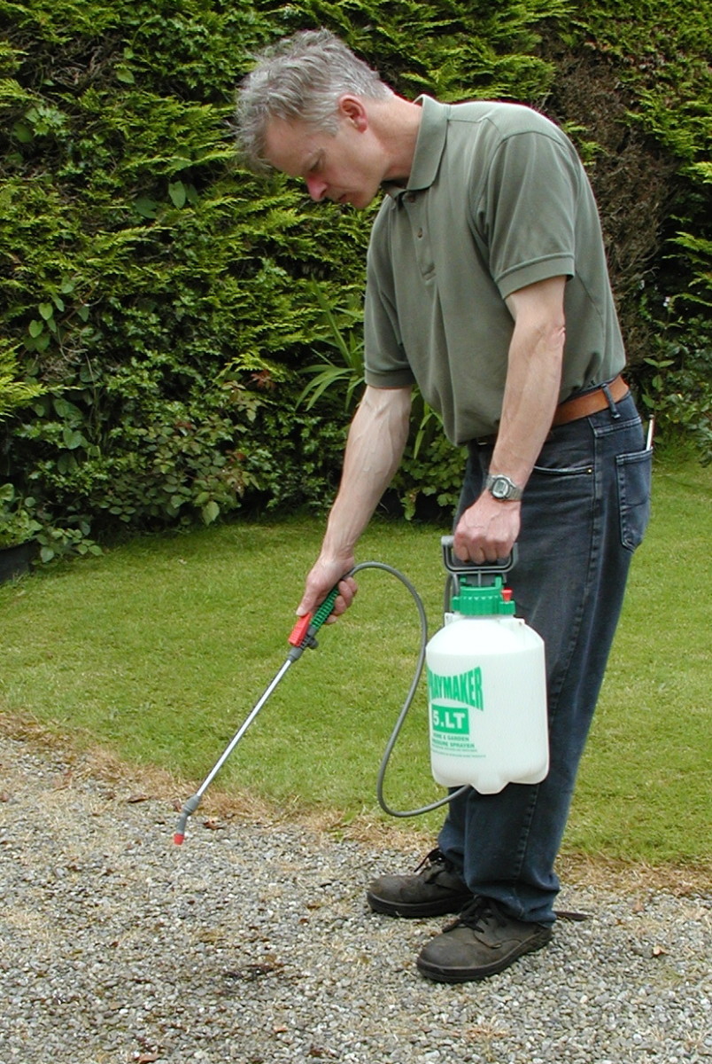 How to Get Rid of Weeds, Naturally or With Chemicals Dengarden