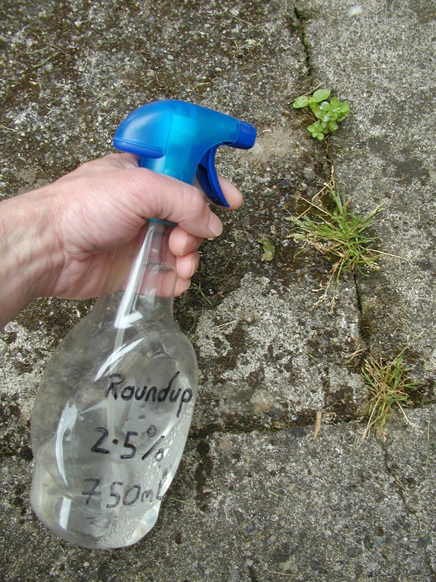 How to Get Rid of Weeds, Naturally or With Chemicals Dengarden