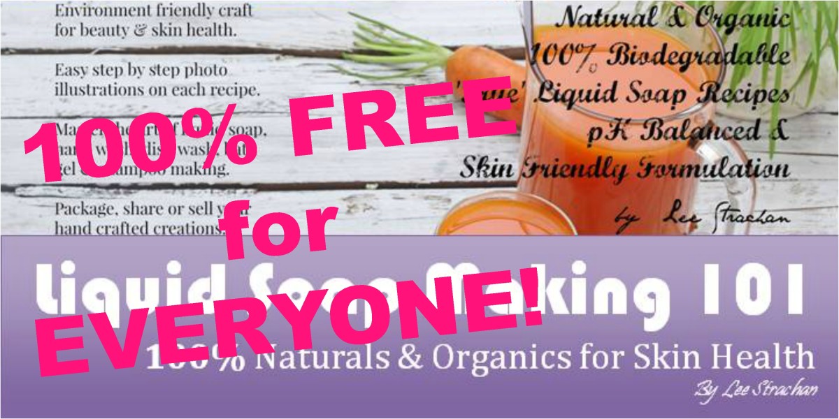 Shampoo Bar Tutorial Fresh Aloe Vera & Apple Cider Vinegar HubPages