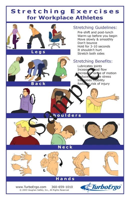 The Benefits of Stretching at Work (Posters Included) CalorieBee