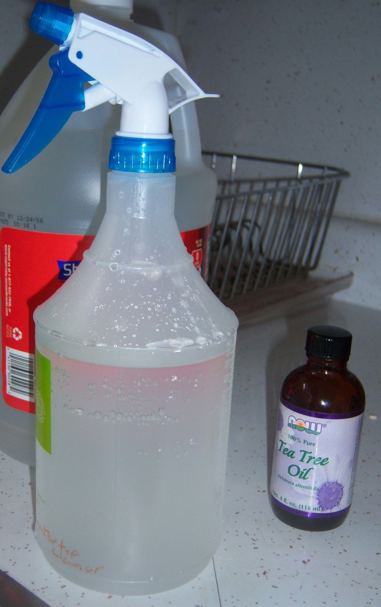 Top 5 Homemade Cleaning Products Dengarden