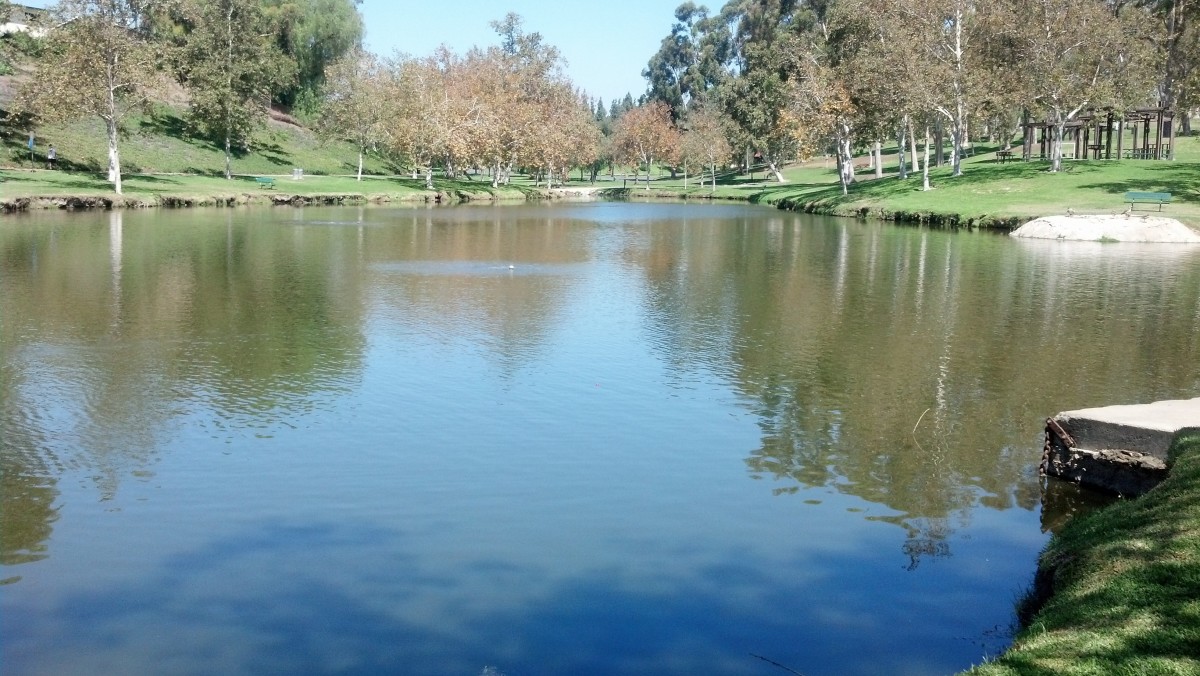Orange County Fishing at Laguna Lake Park in Fullerton, CA HubPages