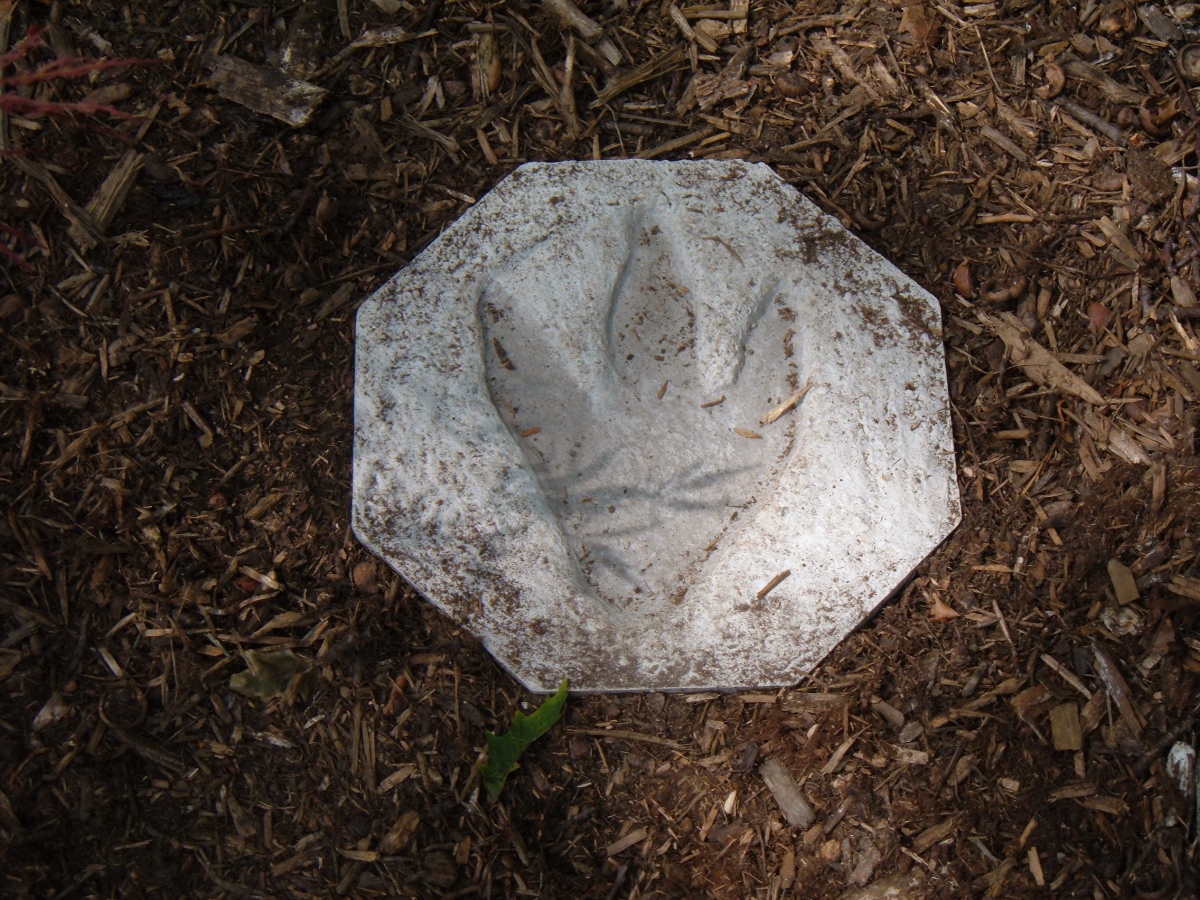 Jurassic Path Making Stepping Stones With Dinosaur Prints! Dengarden