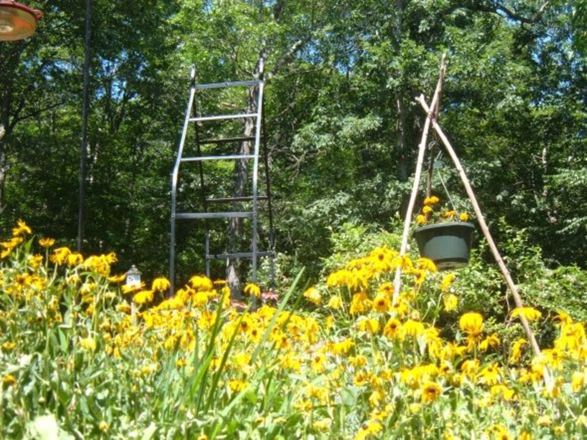 How to Make a Mason Bee House