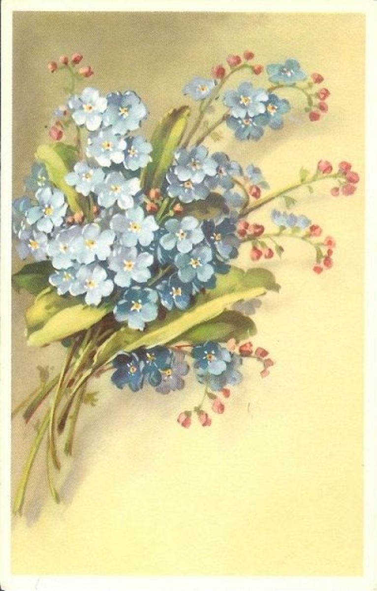 8 Vintage Alfred Mainzer Flower Postcards HobbyLark