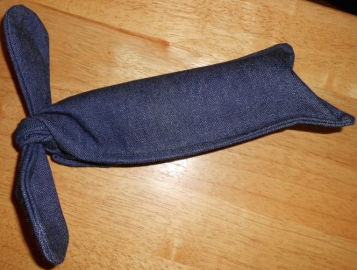 Dog Bottle Toy DIY HubPages