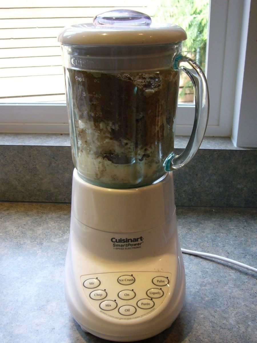 My Dog Has Megaesophagus HubPages