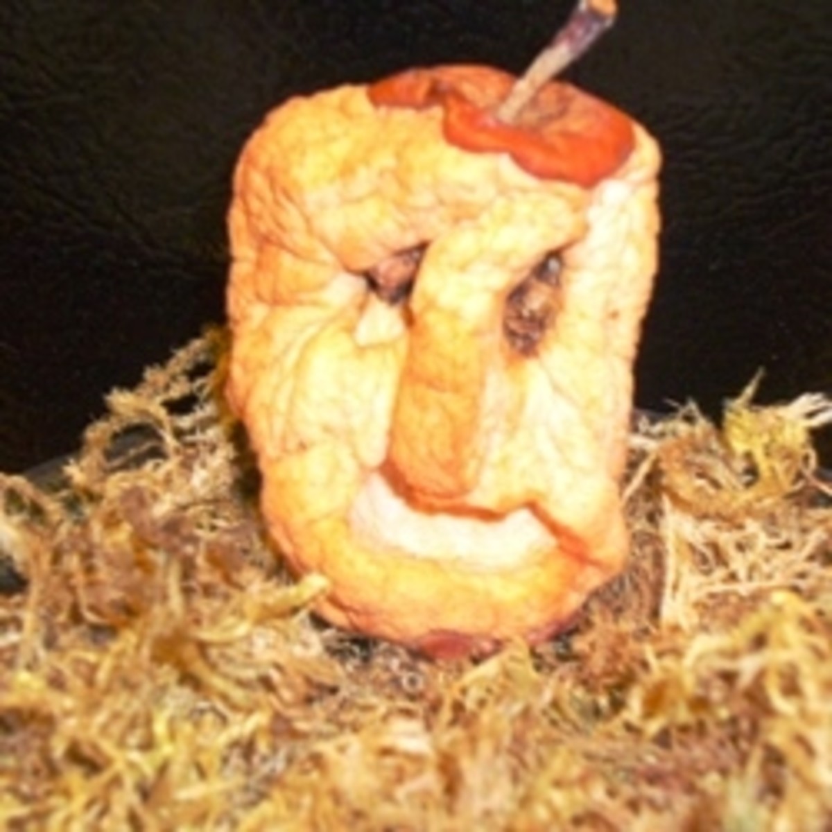 Shrunken Apple Heads HubPages