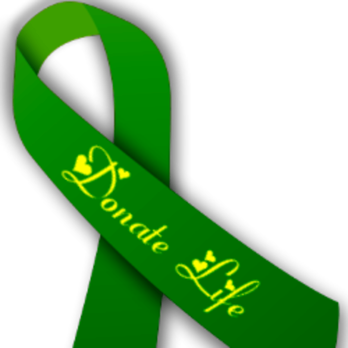 My Journey Through Kidney Failure and Transplantation HubPages