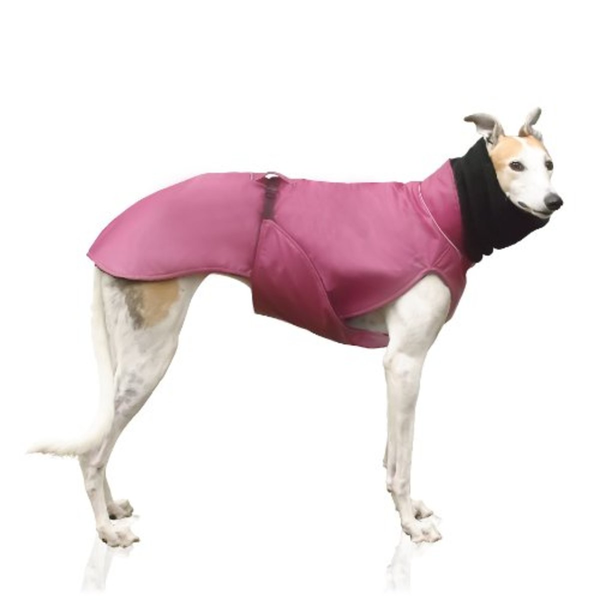 Winter Coats for Greyhound Dogs hubpages