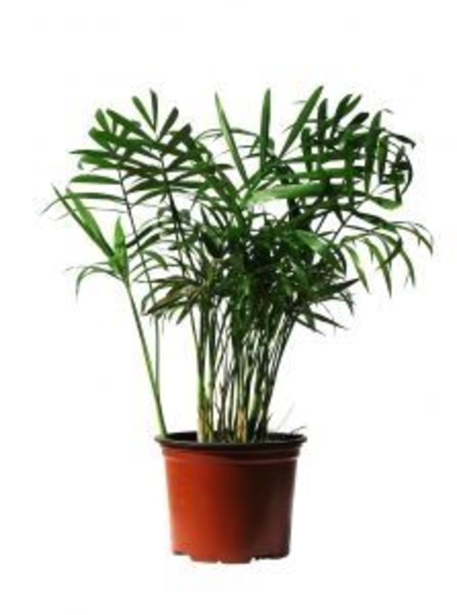 Taking Care Of Your Home While You're Away On Vacation HubPages