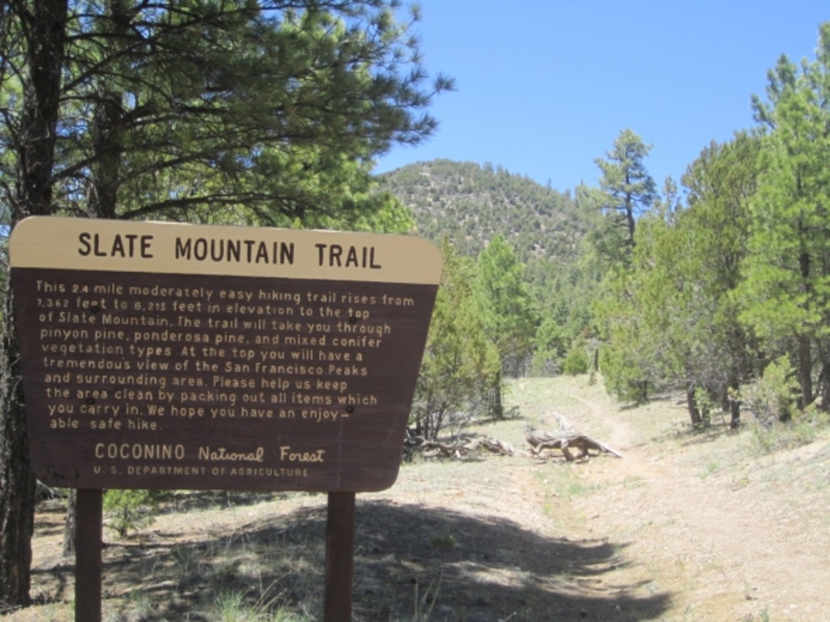 The Best Short Day Hikes in Flagstaff, Arizona WanderWisdom