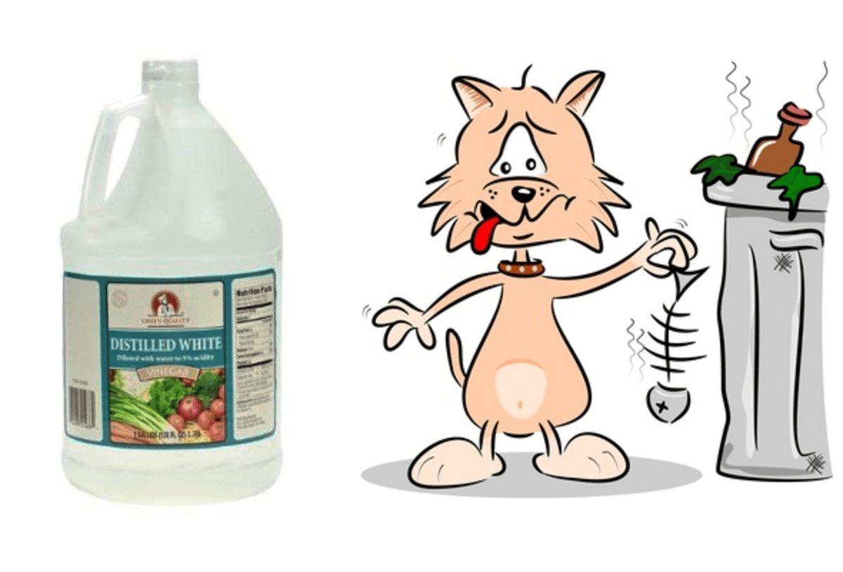 Simple and effective household tips