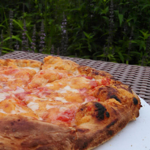 The Farmstead Creamery & Cafe in Hayward, Wisconsin