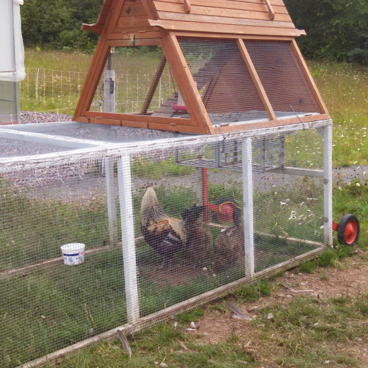 The Farmstead Creamery & Cafe in Hayward, Wisconsin