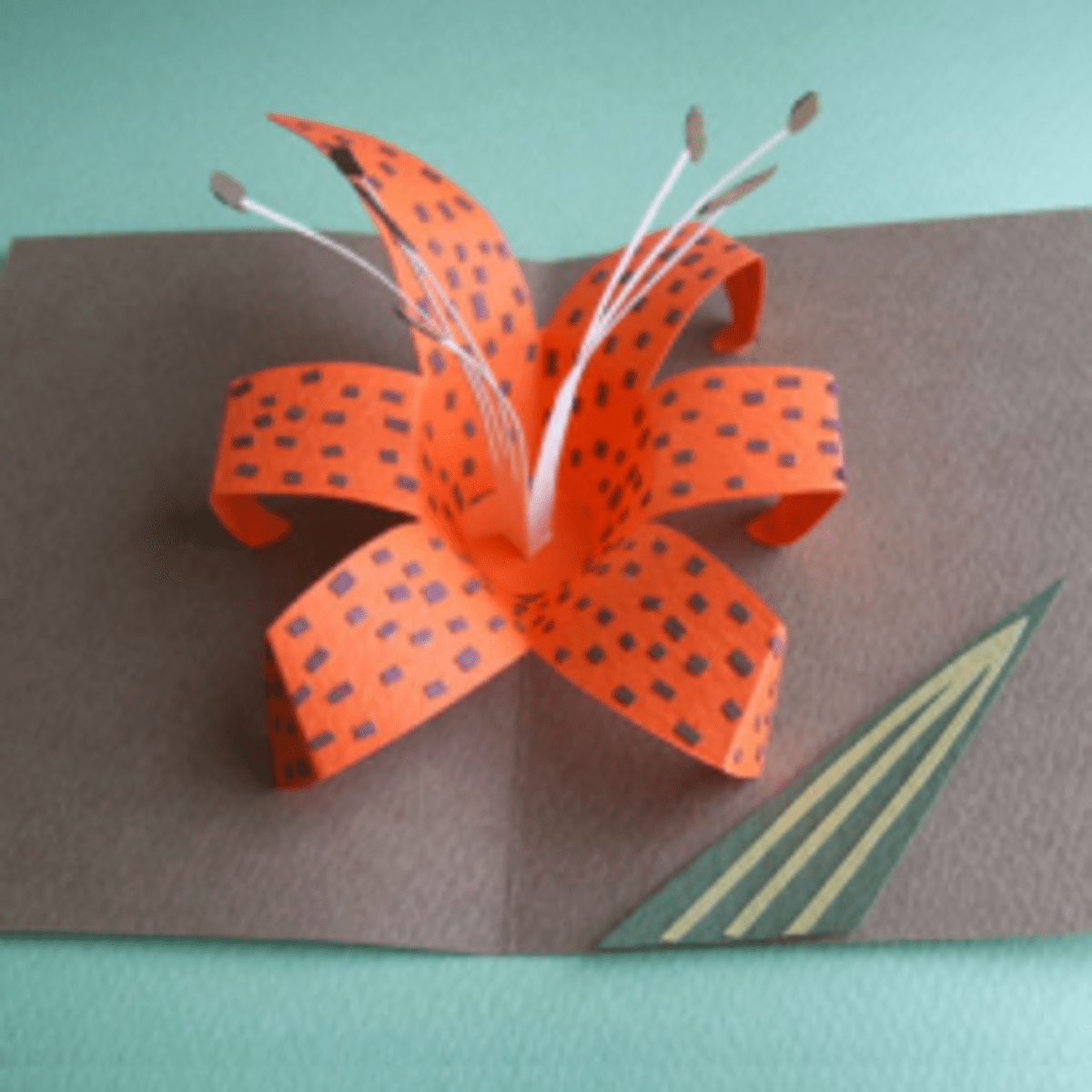 Your Beginner's Guide to Making PopUp Books and Cards HubPages