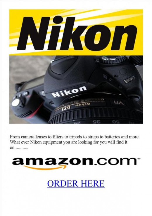 Best dslr for low light