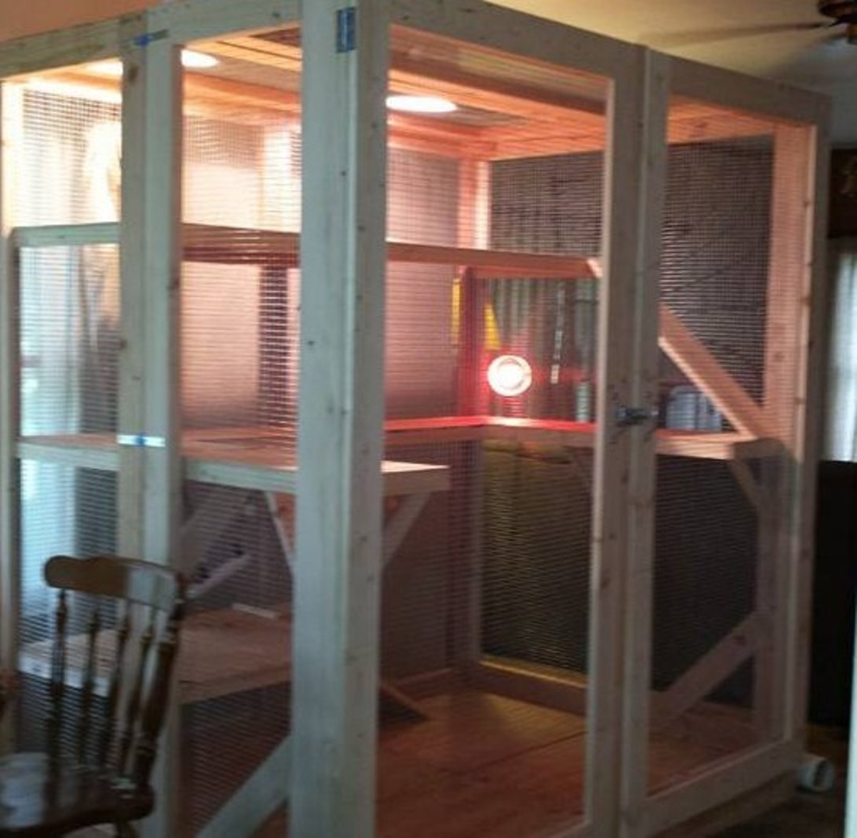 The Best Iguana Cages and Where to Buy Them PetHelpful