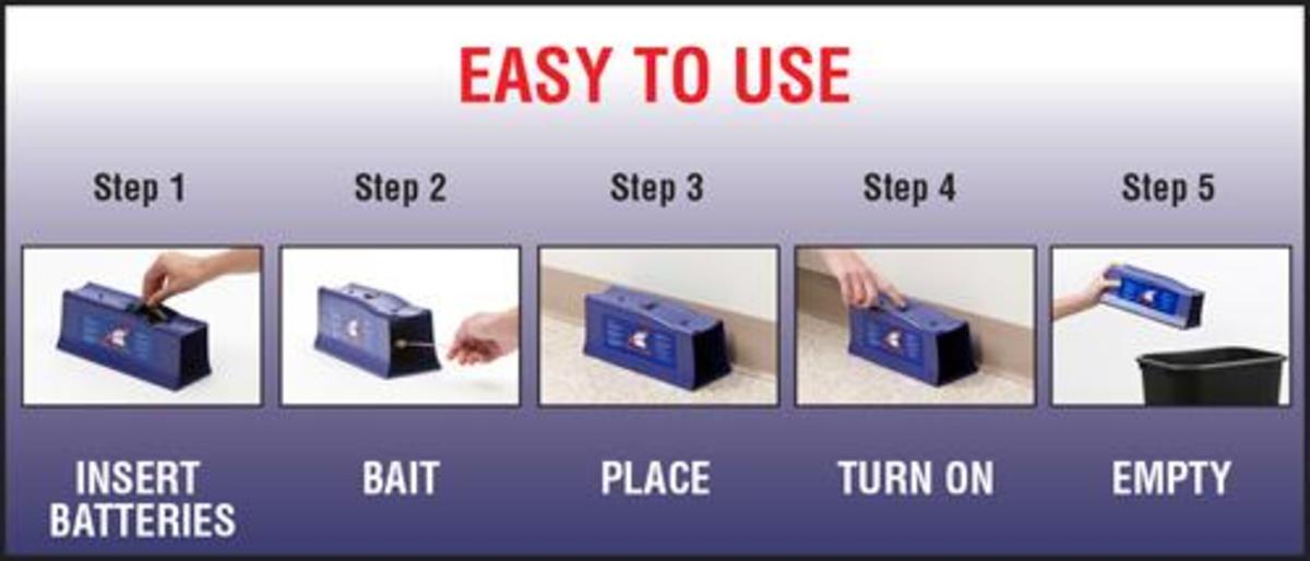How to Get Rid of Rats Under a Deck Dengarden