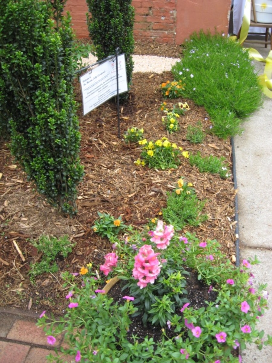 Pendleton Pride In Motion HubPages