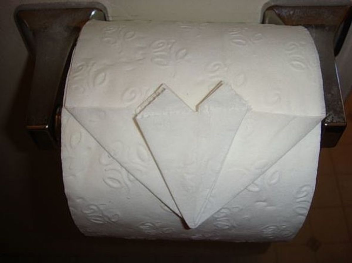 Toilet Paper Origami hubpages