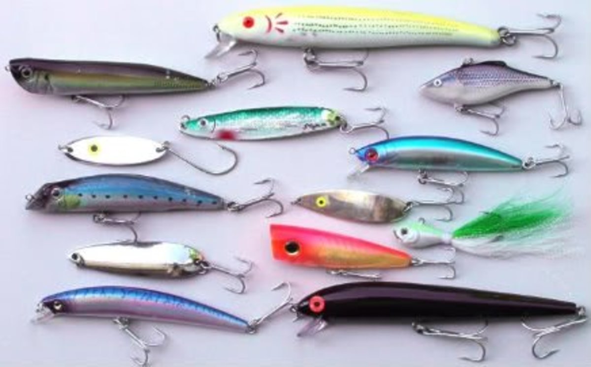 Surf Fishing Tips and Techniques SkyAboveUs