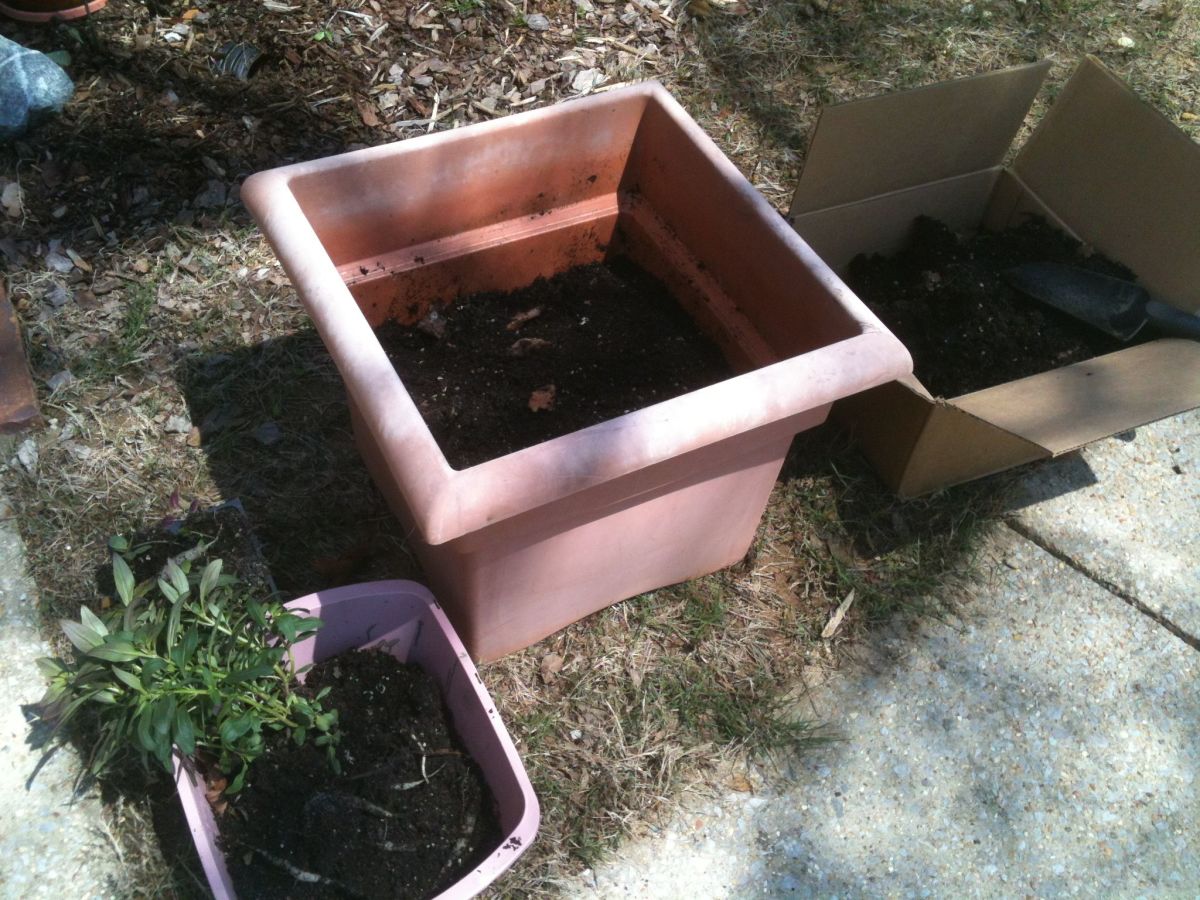 Can Faded Plastic Pots Be Saved? HubPages