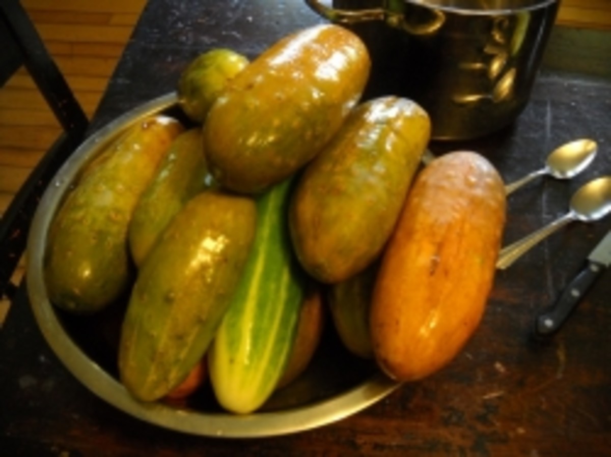 Ripe Cucumber Tongue Pickles