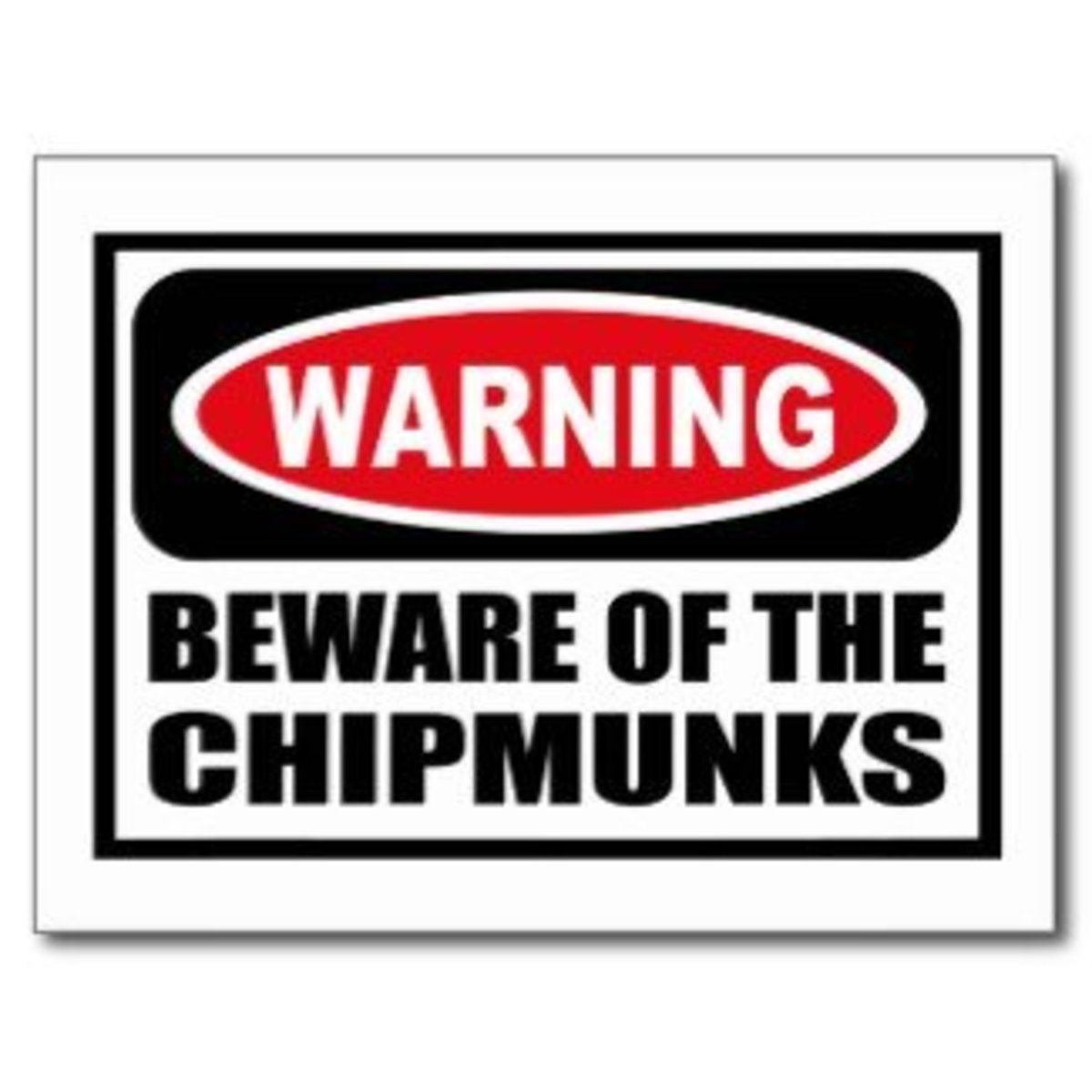 Ten Humane Ways to Get Rid of Chipmunks | HubPages