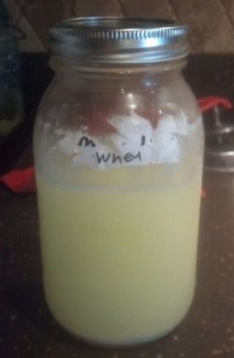 What to Do with Leftover Whey Make Whole Wheat Grandma's Bread