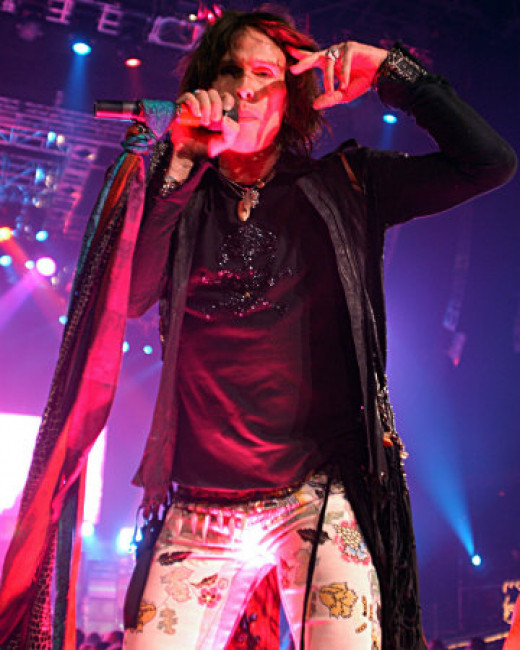 Steven Tyler Costumes