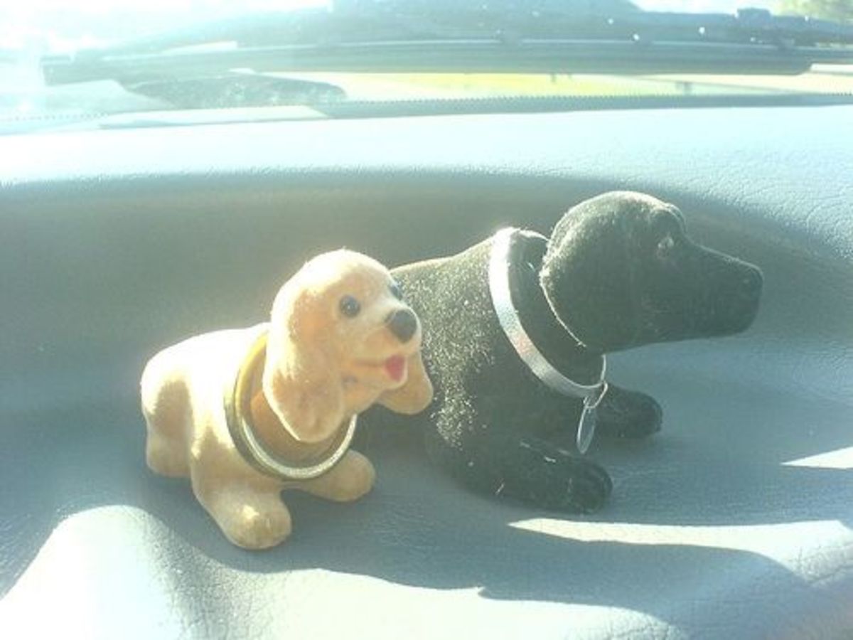 Nodding Dogs HubPages