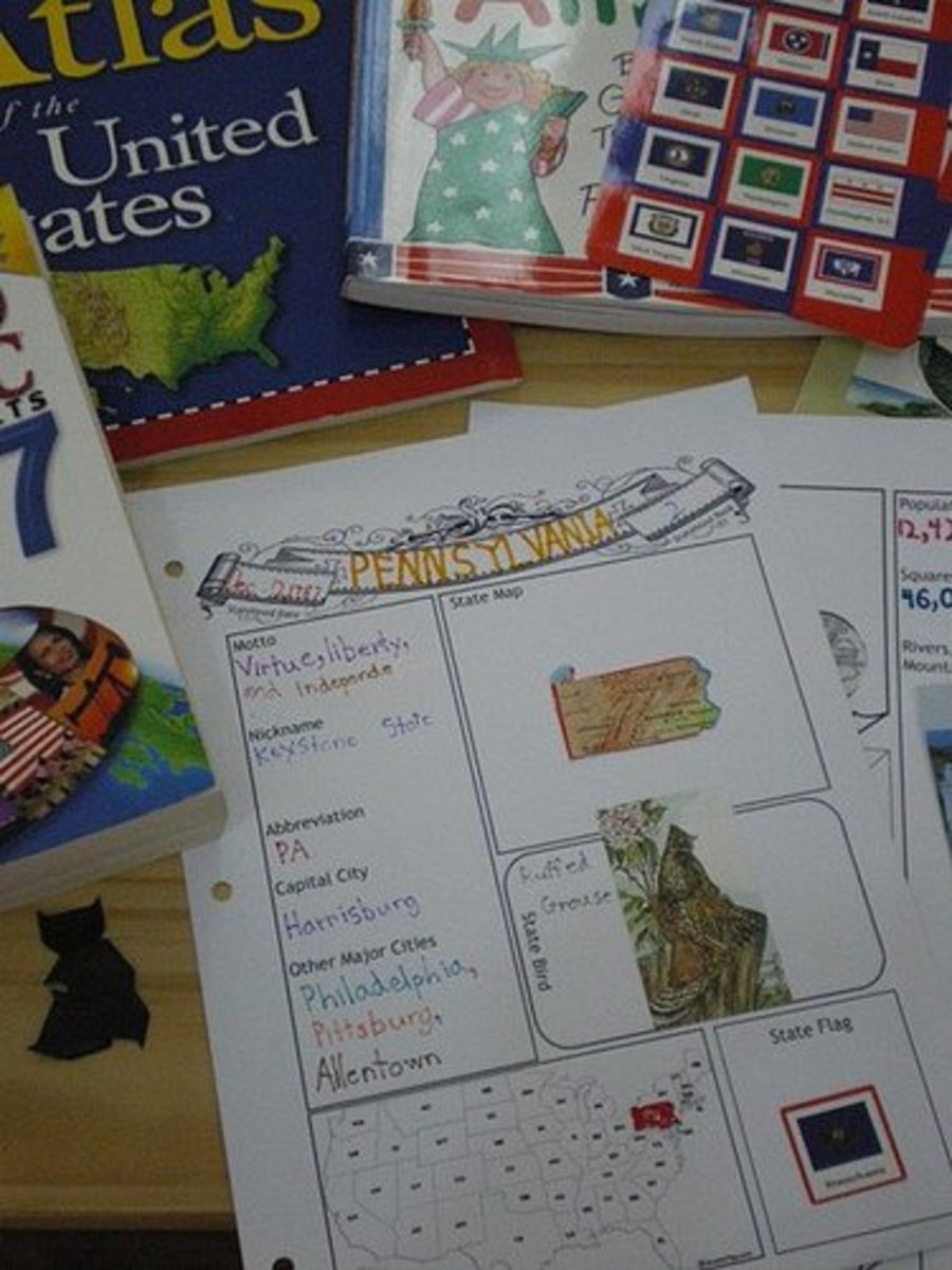 Learning about the 50 States: FREE Printables