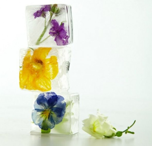Decorative Ice Cubes with Flowers, Fruit and Herbs HubPages