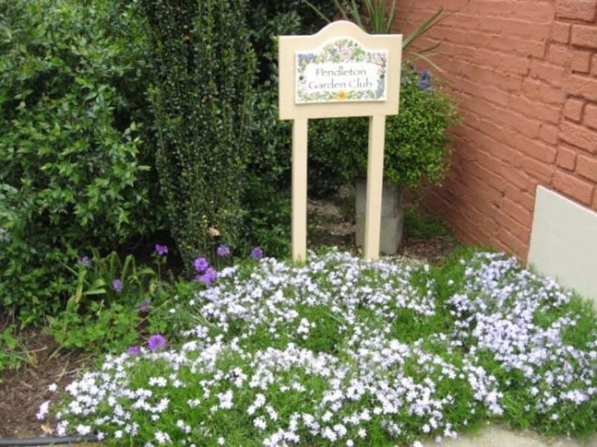 Pendleton Garden Club HubPages