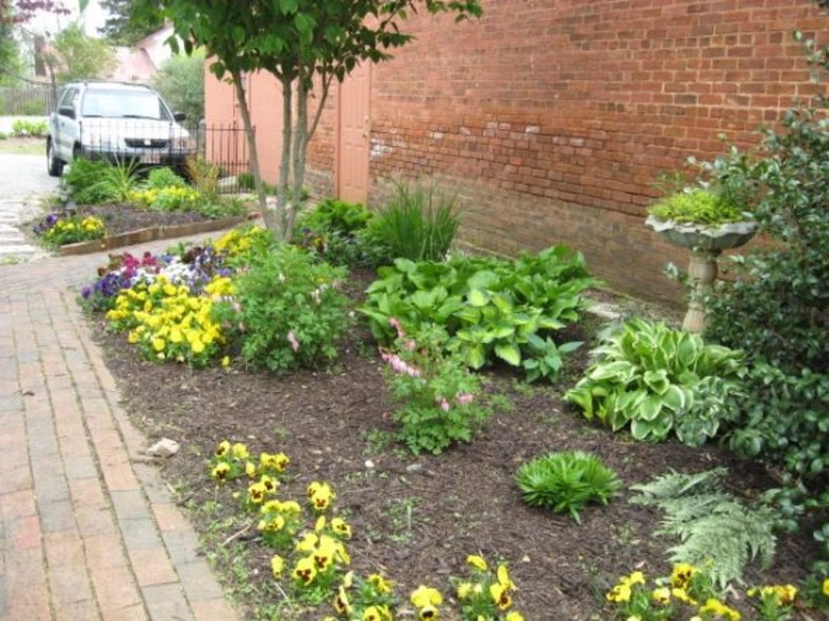 Pendleton Garden Club HubPages