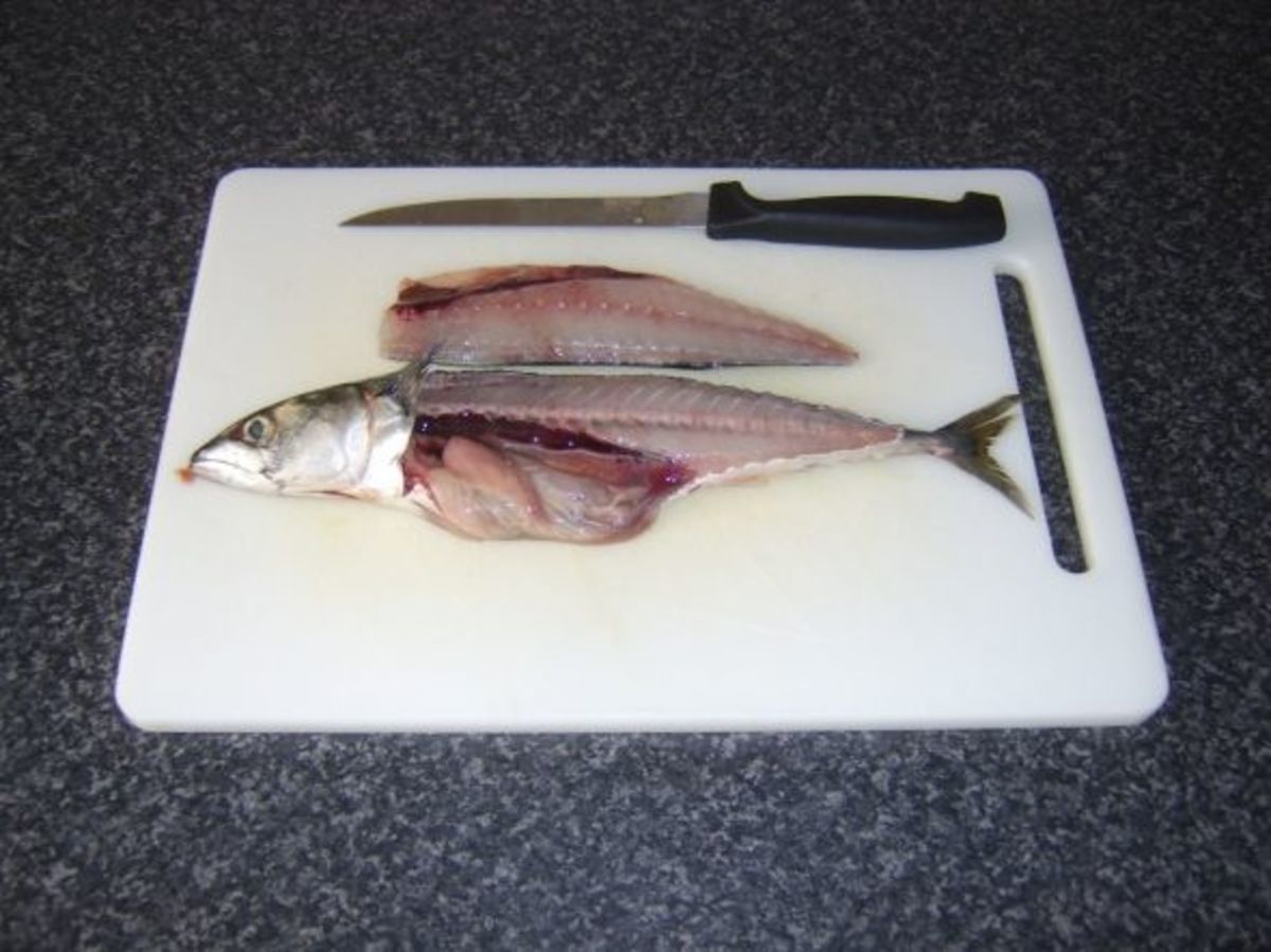 Mackerel Recipes and Different Ways to Cook Mackerel Delishably