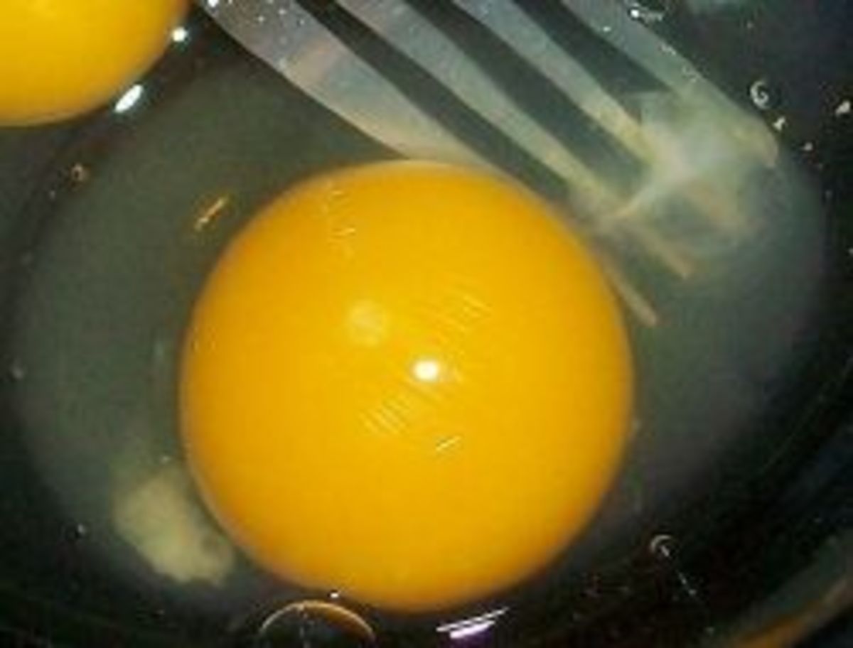 How to Tell if Your Chicken Eggs are Fertile HubPages