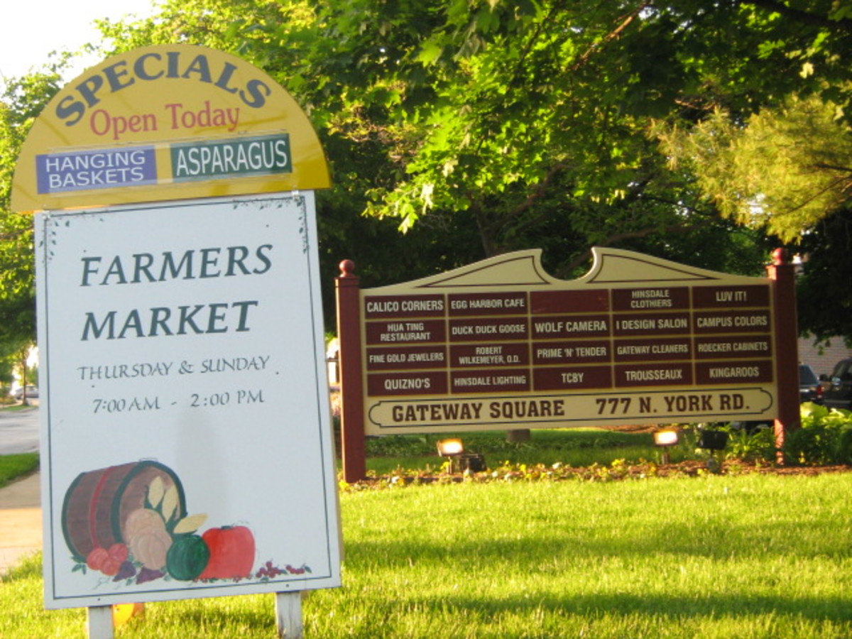 Hinsdale, Illinois A Must to Visit (105 Photos) Updated12/11/2009